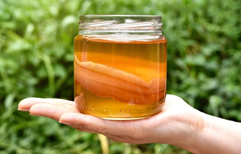 Kombucha